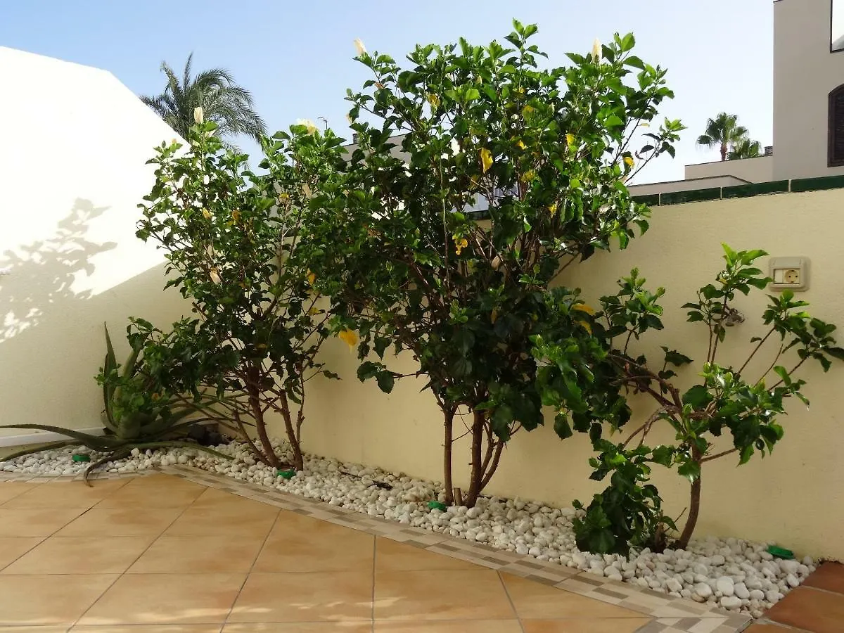 Apartment Residencial Los Geranios 13 Costa Del Silencio Spain